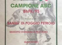 New Title for Mch. Bambù di Poggio Petroio