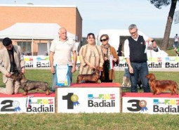 Another great weekend for Castelpetroio dogs