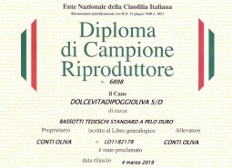 New title in Castelpetroio