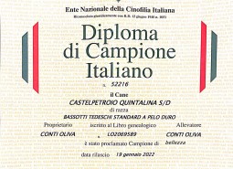 New Italian Champion Castelpetroio Quintalina