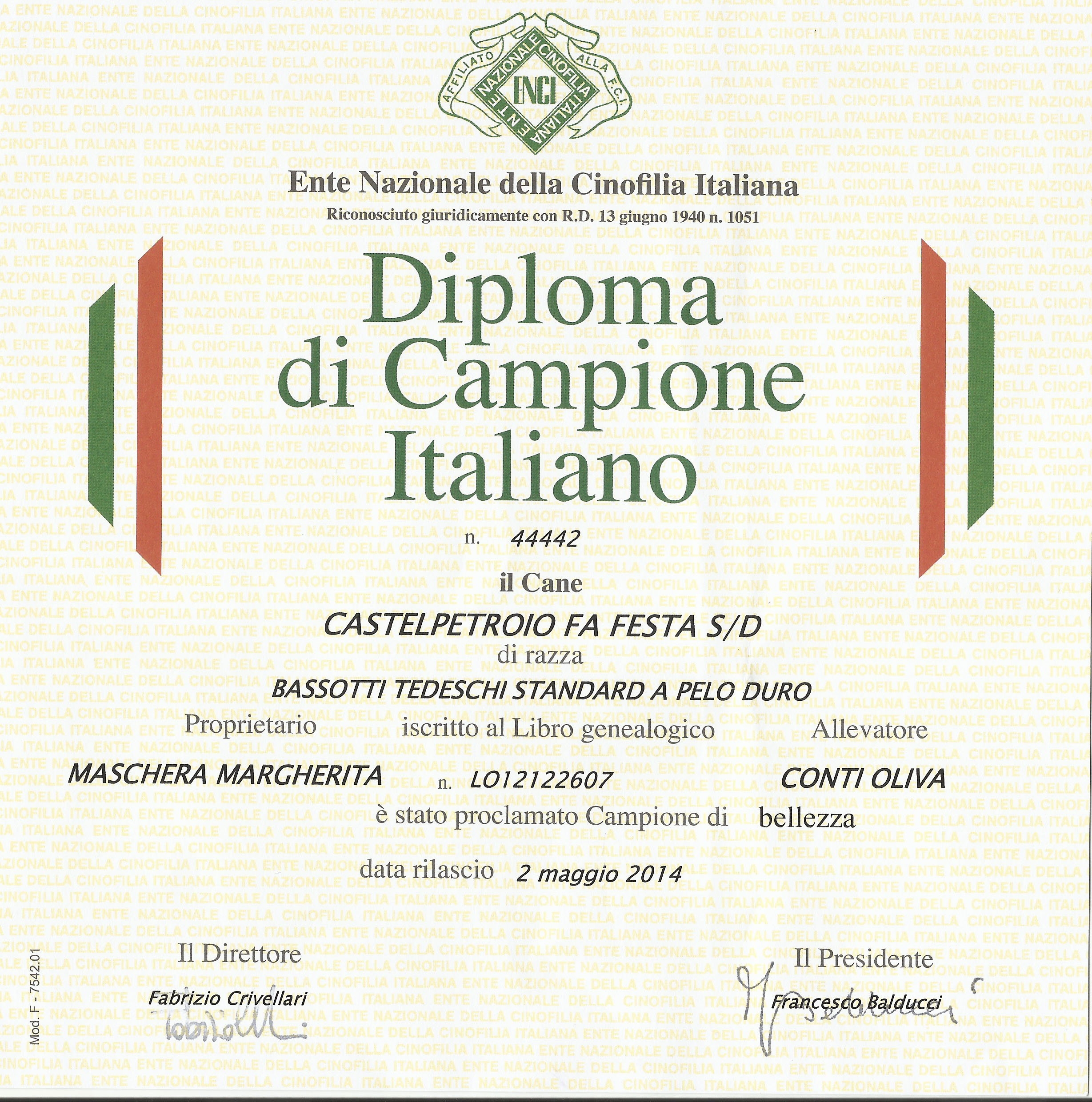 Diploma Festa Ch IT Bellezza