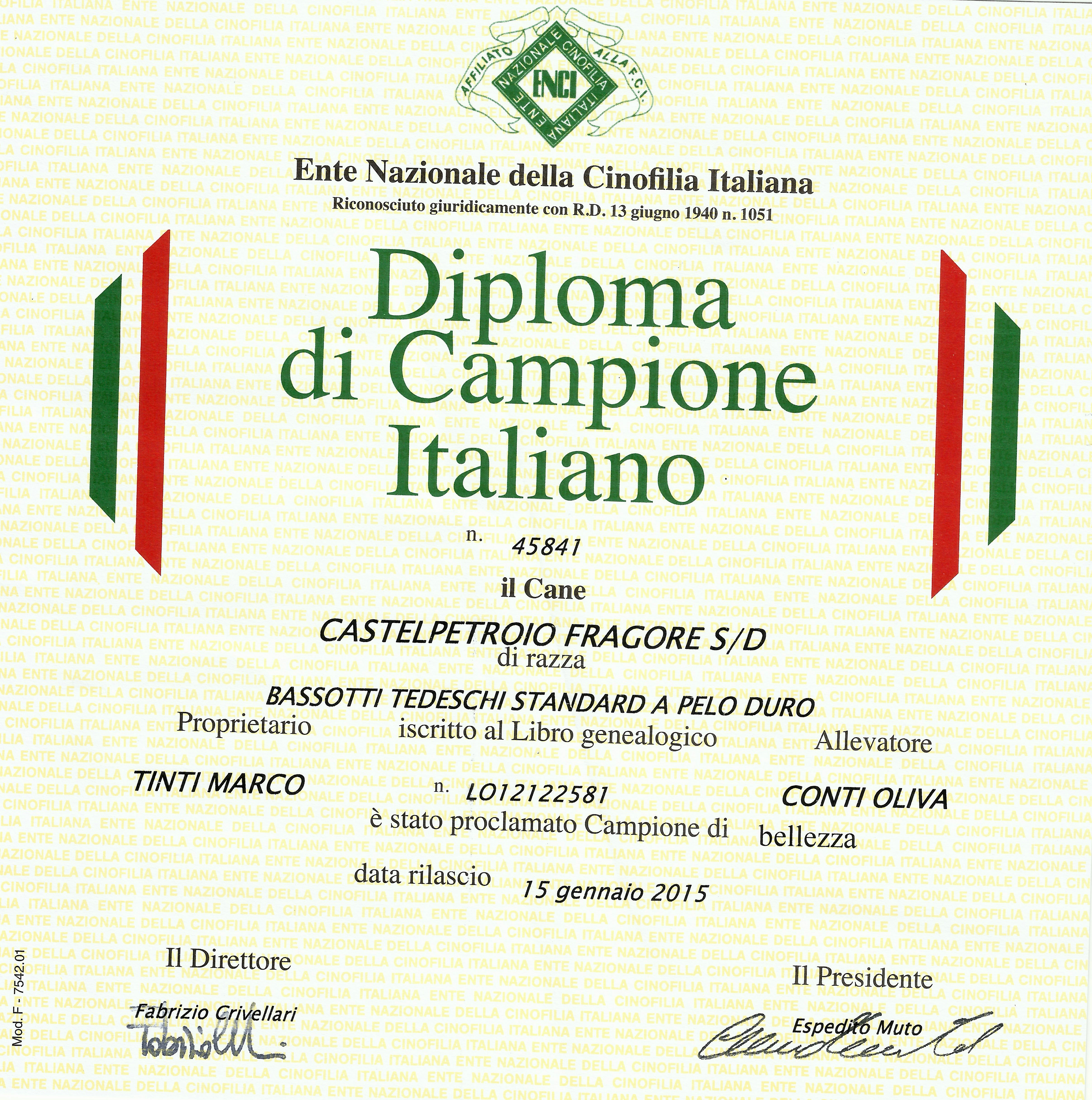 diploma Fragore CH It