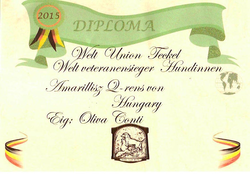diploma chmondWUT Brioche