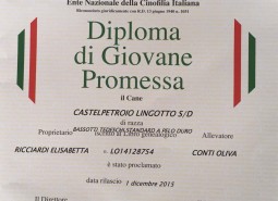 Castelpetroio Lingotto is JUNIOR ITALIAN CHAMPION/GIOVANE PROMESSA ENCI