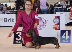 30/9/2021 Brno World Dog Show 2021